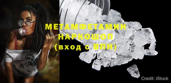 индика Аркадак