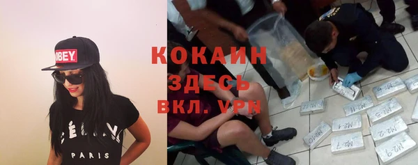 индика Аркадак