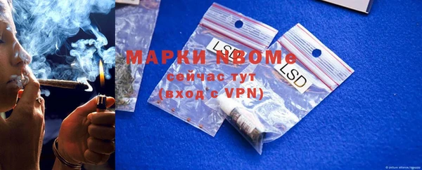 индика Аркадак