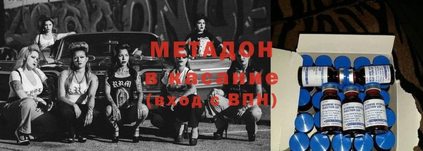 индика Аркадак