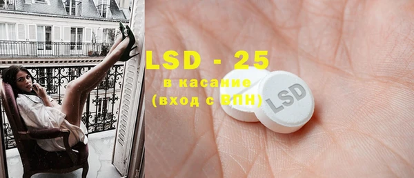индика Аркадак