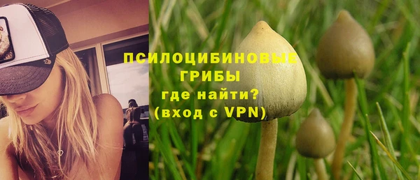 трава Армянск